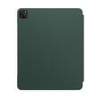 NOA RollCase for iPad 12.9" (4th Gen, 5th Gen and 6th Gen) | Leaf Green