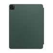 NOA Magnetic Smart Case for iPad 12.9" | Green